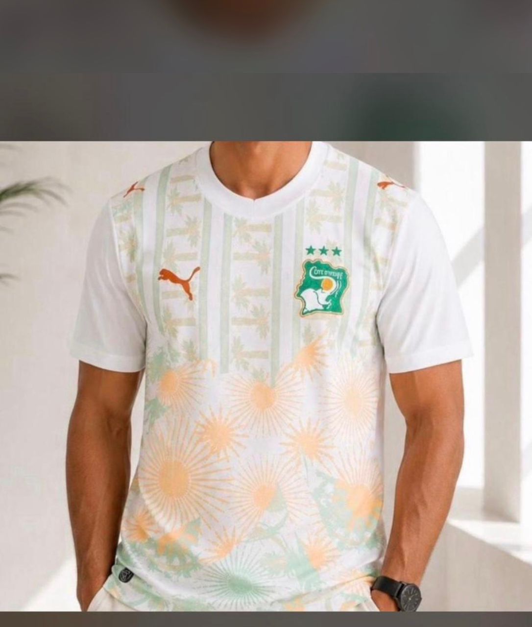 Maillot officiel des éléphants